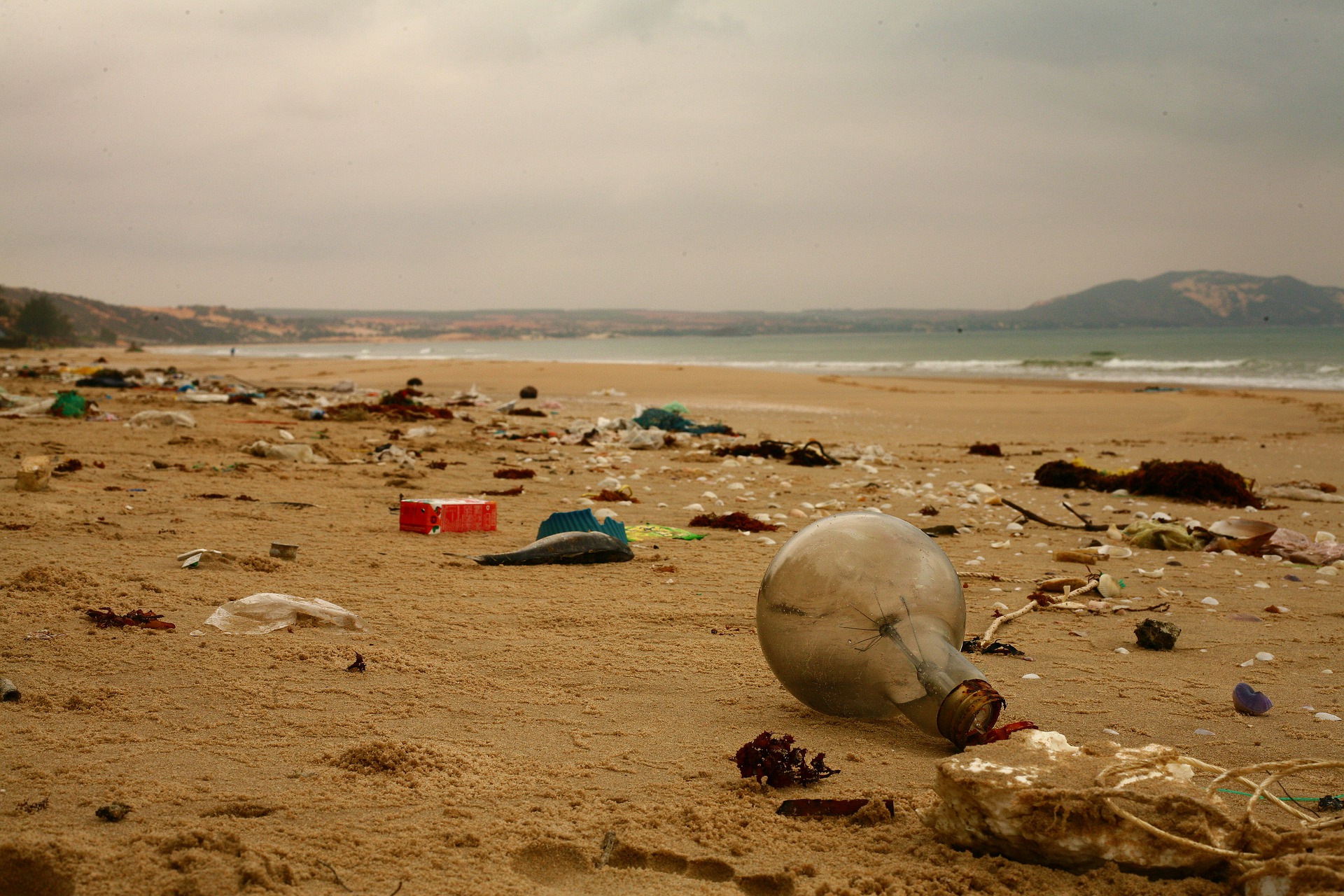 trash strewn across a beach